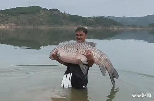 抖音国产 第2页